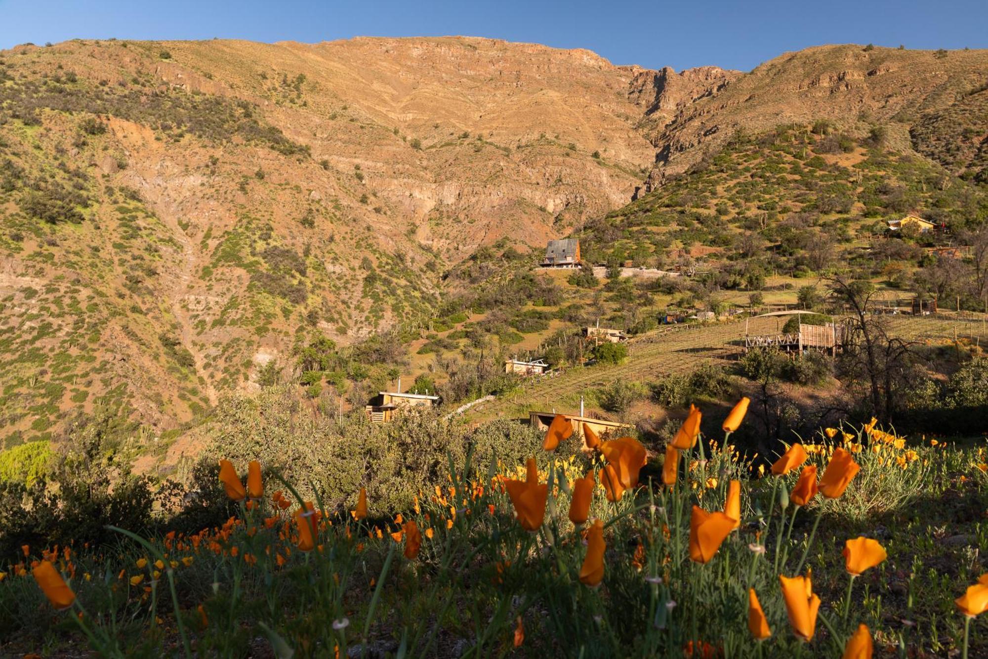 Origen Del Maipo Lodge San José de Maipo Kültér fotó