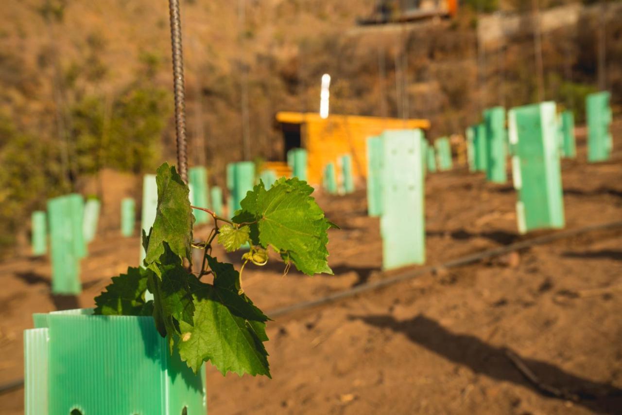 Origen Del Maipo Lodge San José de Maipo Kültér fotó