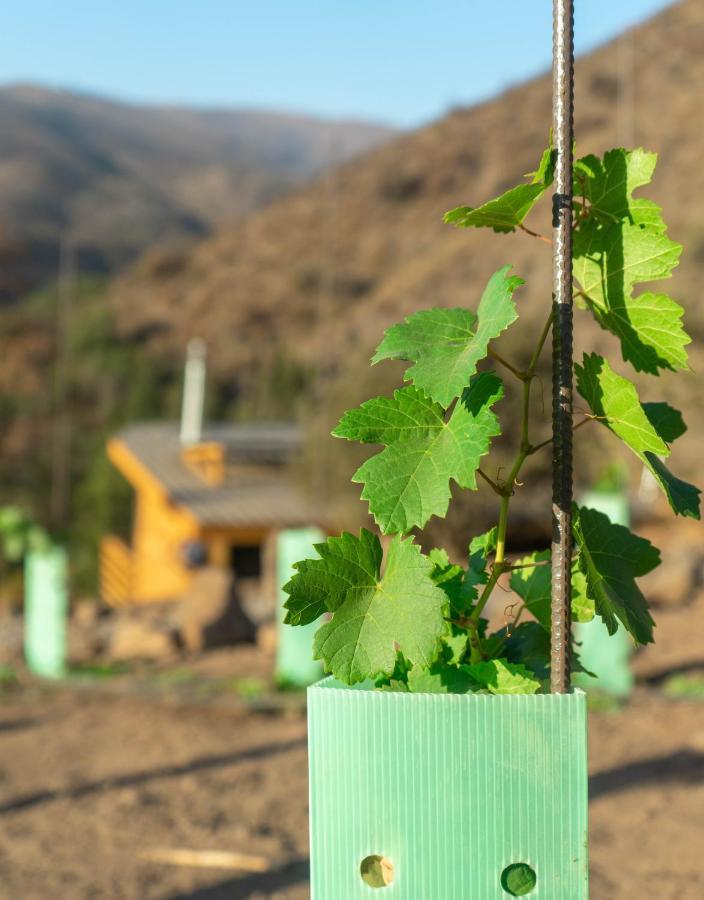 Origen Del Maipo Lodge San José de Maipo Kültér fotó